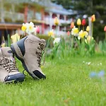 Eden - Aktiv- & Wohlfuehlhotel In Tirol Auf 1200m Hoehe Зефельд-ін-Тіроль