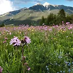 Eden - Aktiv- & Wohlfuehlhotel In Tirol Auf 1200m Hoehe Hotel