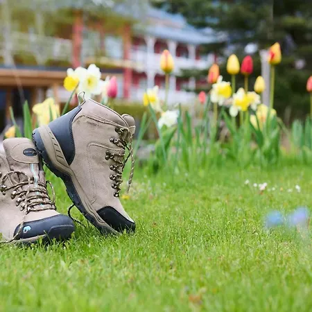 Eden - Aktiv- & Wohlfuehlhotel In Tirol Auf 1200m Hoehe Seefeld in Tirol