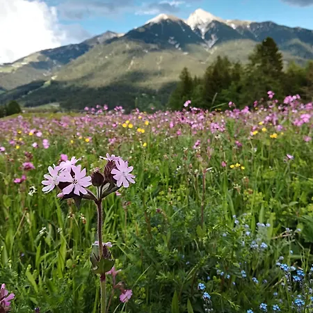 Eden - Aktiv- & Wohlfuehlhotel In Tirol Auf 1200m Hoehe Szálloda