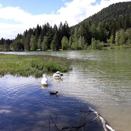 Отель Eden - Aktiv- & Wohlfuehlhotel In Tirol Auf 1200m Hoehe 4*