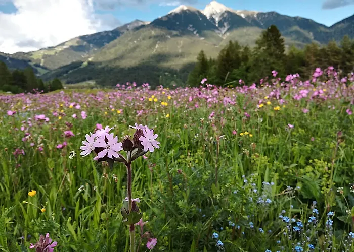 Eden - Aktiv-&wohlfühlhotel In Tirol Auf 1200m Höhe Hotel