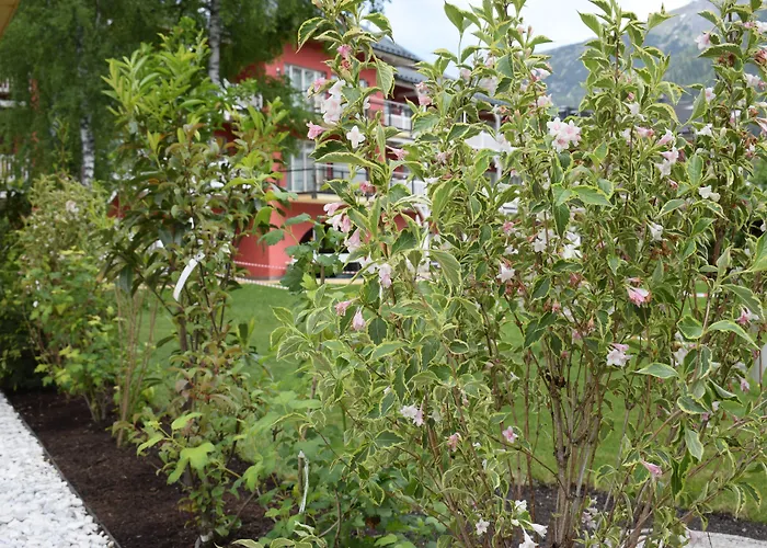 Eden - Aktiv-&wohlfühlhotel In Tirol Auf 1200m Höhe